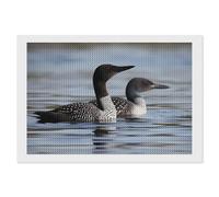 ERSTSNCK Loon Birds Diamond Painting Kits for Adults 8"x12" 5D Diamond Art Kits for Beginners DIY Full Drill Round Diamonds Gem Art Crafts Painting for Home Wall Decor