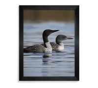 ERSTSNCK Loon Birds Diamond Painting Kits for Adults Blackwood 40 * 50cm 5D Diamond Art Kits for Beginners Large DIY Full Drill Round Diamonds Gem Art Crafts Painting for Home Wall Decor