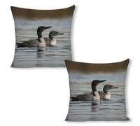 ERSTSNCK Loon Birds Pillow Covers 18"x18"（2pcs） Linen Throw Pillow Covers - Double Sided Decorative Square Cushion Cases for Sofa, Bed, Chair (No Insert Included)