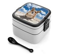 ERSTSNCK Lying on The Beach Bento Box 1000ml Leak Proof Lunch Container with Removable Dividers & Spoon - BPA-Free PP Stackable Lunch Box for Work, Office, Picnic, Travel, Dining Out