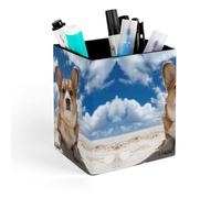 ERSTSNCK Lying on The Beach Pen Holder, Pencil Holder Desktop Stationery Organizer Square Leather Pencil Cup Makeup Brush Storage Box for Office Home And Stationary Supplies