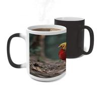 ERSTSNCK Mandarin Duck Color Changing Mug Heat Changing Coffee Mug Funny Magic Cup Heat Sensitive Travel Mugs Novelty Coffee Cups Personalized Customized Gift for Men Women 11 Oz