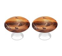 ERSTSNCK Native American Tribes Cabinet Knobs, 2-Pack Silver Stainless Steel Drawer Pulls with Screws, Elegant Hardware for Dressers, Kitchen,Cabinets & Desks