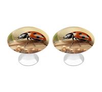 ERSTSNCK Orange Ladybug on Beige Background Cabinet Knobs, 2-Pack Silver Stainless Steel Drawer Pulls with Screws, Elegant Hardware for Dressers, Kitchen,Cabinets & Desks