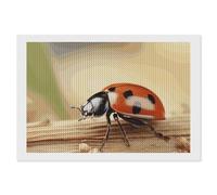 ERSTSNCK Orange Ladybug on Beige Background Diamond Painting Kits for Adults 8"x12" 5D Diamond Art Kits for Beginners DIY Full Drill Round Diamonds Gem Art Crafts Painting for Home Wall Decor