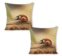 ERSTSNCK Orange Ladybug on Beige Background Pillow Covers 18"x18"（2pcs） Linen Throw Pillow Covers - Double Sided Decorative Square Cushion Cases for Sofa, Bed, Chair (No Insert Included)
