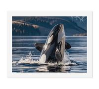 ERSTSNCK Orca Killer Whale Paint by Numbers for Adults Beginner 30x40cm DIY Painting Kit with HD Canvas & Acrylic Paints, Complete Crafts Set for Home Decor, Gifts, Stress Relief