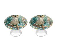 ERSTSNCK Owl Spring Flowers Turquoise Cabinet Knobs, 2-Pack Silver Stainless Steel Drawer Pulls with Screws, Elegant Hardware for Dressers, Kitchen,Cabinets & Desks