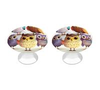 ERSTSNCK Owls Birds Cabinet Knobs, 2-Pack Silver Stainless Steel Drawer Pulls with Screws, Elegant Hardware for Dressers, Kitchen,Cabinets & Desks