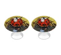 ERSTSNCK Paint Spotted Ladybug Cabinet Knobs, 2-Pack Silver Stainless Steel Drawer Pulls with Screws, Elegant Hardware for Dressers, Kitchen,Cabinets & Desks