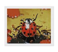 ERSTSNCK Paint Spotted Ladybug Diamond Painting Kits for Adults 16"x20" 5D Diamond Art Kits for Beginners DIY Full Drill Round Diamonds Gem Art Crafts Painting for Home Wall Decor