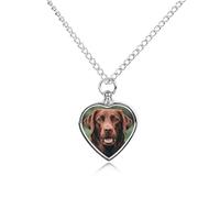 ERSTSNCK Pet Urn Necklace for Ashes Brown Labrador Retriever Heart-Shaped Memorial Pendant with Filling Kit 27.6" Adjustable Chain Cremation Keepsake Jewelry for Dog Cat Sympathy Gift for Pets Lovers