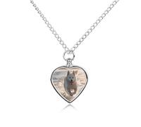 ERSTSNCK Pet Urn Necklace for Ashes Running on The Beach Heart-Shaped Memorial Pendant with Filling Kit 27.6" Adjustable Chain Cremation Keepsake Jewelry for Dog Cat Sympathy Gift for Pets Lovers