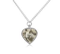 ERSTSNCK Pet Urn Necklace for Ashes Wolves And Their Home Heart-Shaped Memorial Pendant with Filling Kit 27.6" Adjustable Chain Cremation Keepsake Jewelry for Dog Cat Sympathy Gift for Pets Lovers