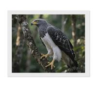 ERSTSNCK Philippine Eagle Diamond Painting Kits for Adults 16"x20" 5D Diamond Art Kits for Beginners DIY Full Drill Round Diamonds Gem Art Crafts Painting for Home Wall Decor