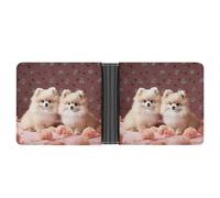 ERSTSNCK Pomeranians Puppies And Point Wallet for Men Bifold Rfid Blocking Slim Money Clip Front Pocket Wallet Card Holder
