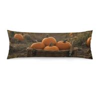 ERSTSNCK Pumpkins in Field Body Pillow Pillowcase 20"x54" Lumbar Throw Pillow Covers with Hidden Zipper Breathable & Cozy Full Long Bodypillow Case Cover for Sleeping Bedroom Couch Sofa Decor