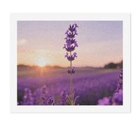 ERSTSNCK Purple Lavender Paint by Numbers for Adults Beginner 40x50cm DIY Painting Kit with HD Canvas & Acrylic Paints, Complete Crafts Set for Home Decor, Gifts, Stress Relief