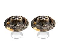 ERSTSNCK Raccoon in The Fall Tree Hole Cabinet Knobs, 2-Pack Silver Stainless Steel Drawer Pulls with Screws, Elegant Hardware for Dressers, Kitchen,Cabinets & Desks