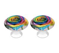 ERSTSNCK Rainbow Rose Cabinet Knobs, 2-Pack Silver Stainless Steel Drawer Pulls with Screws, Elegant Hardware for Dressers, Kitchen,Cabinets & Desks