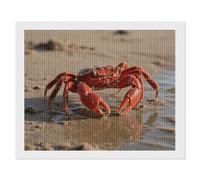 ERSTSNCK Red Crab Diamond Painting Kits for Adults 16"x20" 5D Diamond Art Kits for Beginners DIY Full Drill Round Diamonds Gem Art Crafts Painting for Home Wall Decor