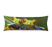 ERSTSNCK Red Eyed Tree Frog Body Pillow Pillowcase 20"x54" Lumbar Throw Pillow Covers with Hidden Zipper Breathable & Cozy Full Long Bodypillow Case Cover for Sleeping Bedroom Couch Sofa Decor