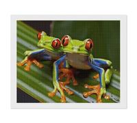 ERSTSNCK Red Eyed Tree Frog Diamond Painting Kits for Adults 16"x20" 5D Diamond Art Kits for Beginners DIY Full Drill Round Diamonds Gem Art Crafts Painting for Home Wall Decor