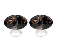 ERSTSNCK Rottweiler Wallpaper Cabinet Knobs 2-Pack Silver Stainless Steel Drawer Pulls with Screws Elegant Hardware for Dressers Kitchen Cabinets & Desks