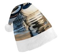 ERSTSNCK Santa Hat for Adults - Loon Nature Birds Christmas Hat with White Pom Pom, Classic Xmas Cap for Party