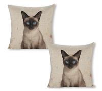 ERSTSNCK Siamese Cat Art Pillow Covers 18"x18"（2pcs） Linen Throw Pillow Covers - Double Sided Decorative Square Cushion Cases for Sofa, Bed, Chair (No Insert Included)