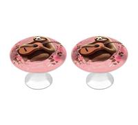 ERSTSNCK Sloth with Musical Notes on Background Cabinet Knobs, 2-Pack Silver Stainless Steel Drawer Pulls with Screws, Elegant Hardware for Dressers, Kitchen,Cabinets & Desks