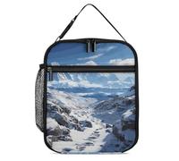 ERSTSNCK Spectacular Snowy Mountains Lunch Bag for Adults Reusable Insulated Lunchbox Leakproof Small Lunch Box Tote for Men & Women Portable Food Cooler Bag for Work, Office, Picnics