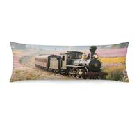 ERSTSNCK Steam Train Body Pillow Pillowcase 20"x54" Lumbar Throw Pillow Covers with Hidden Zipper Breathable & Cozy Full Long Bodypillow Case Cover for Sleeping Bedroom Couch Sofa Decor