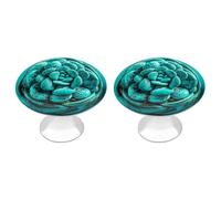ERSTSNCK Turquoise Wonders Cabinet Knobs, 2-Pack Silver Stainless Steel Drawer Pulls with Screws, Elegant Hardware for Dressers, Kitchen,Cabinets & Desks