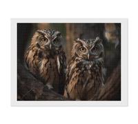 ERSTSNCK Two Owls on The Tree Diamond Painting Kits for Adults 12"x16" 5D Diamond Art Kits for Beginners DIY Full Drill Round Diamonds Gem Art Crafts Painting for Home Wall Decor