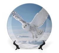 ERSTSNCK White Snowy Owl Ceramic Plate 8inch Decorative Bone China Wall Hanging Ornament Plates Bohemian Style Dinner Plate with Display Stand Cabinet Display Plates for Home Art Decor