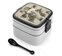 ERSTSNCK Wolves And Their Home Bento Box 1000ml Leak Proof Lunch Container with Removable Dividers & Spoon - BPA-Free PP Stackable Lunch Box for Work, Office, Picnic, Travel, Dining Out