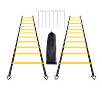 ERTYUI Agility Ladder Set, 2 Pack 6M 12 Rungs Agility Training and Balance Training Ladder, with 8pcs Steel Stakes and 2pcs Carry Bag, for Soccer, Speed, Football Fitness Feet Training