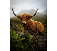 ERUZO 5D Children Diamond Painting Set Animal Scottish Cow Poster Home Decoration Gift 30x40cm