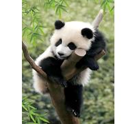 ERUZO 5D Children Diamond Painting Set Chinese Cute Animal Panda Can Be Given As Gift for Home Wall Decoration30x40cm