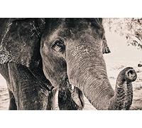 ERUZO 5D Diamond Painting Round Diamond DIY Cross Stitch Elephant Home Decoration Gift50x60cm