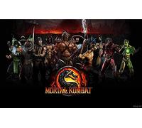 ERUZO 5D Diamond Painting Set for Adults, DIY Diamond Painting Art Children Gift Video Game Mortal Kombat Home Decor Gift30x40cm