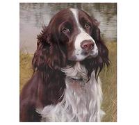 ERUZO Diamond Painting 5D DIY Rhinestone Diamond Art Kits Springer Spaniel Dog Restaurant Wall Decoration50*60CMG6D 40x40CM
