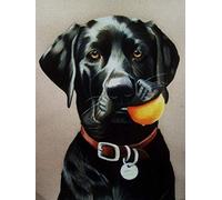 ERUZO Diamond Painting Kits for Adults, Kids Black Labrador Dog DIY 5D Diamond Painting Arts Craft for Home Wall Decor Birthday Gifts 30x40CM