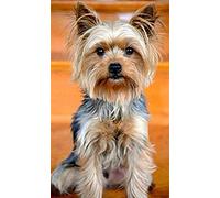 ERUZO DIY 5D Diamond Painting Kit Dog Yorkshire Terrier Diamond Painting Painting Rhinestone Embroidery Craft for Home Wall DecorationG51D 30x40CM