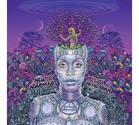 Erykah Badu - New Amerykah Part Two: Return Of The Ankh