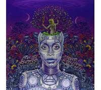 Erykah Badu - New Amerykah Part Two: Return of the Ankh - Vinyl