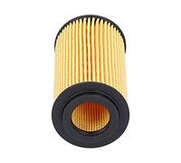 ERYUE ED0021750010S, Oil Filter Replacement for Accessory Fit for for Lombardini with High Filtration Efficiency, Long Endurance Without Maintenance, Direct Fitment for Engine