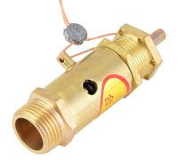 ERYUE Steam Generator G3/8 Safety Release Valve Durable and Long Lasting for Electric Boiler Pressure Relief for Variety of Brands, 100% Material (10kg)