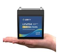 ERYY LiFePO4 Battery 12V 6Ah, 4000+ Deep Cycle Mini Lithium Batteries with 8A BMS, Lightweight Rechargeable Leisure Battery for Outdoor Camping, Solar Energy Storage, Security Camera, Fish Finder
